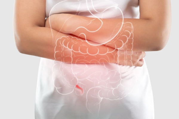 woman holding abdominal with digestive system illustration for digestive regularity and gut health