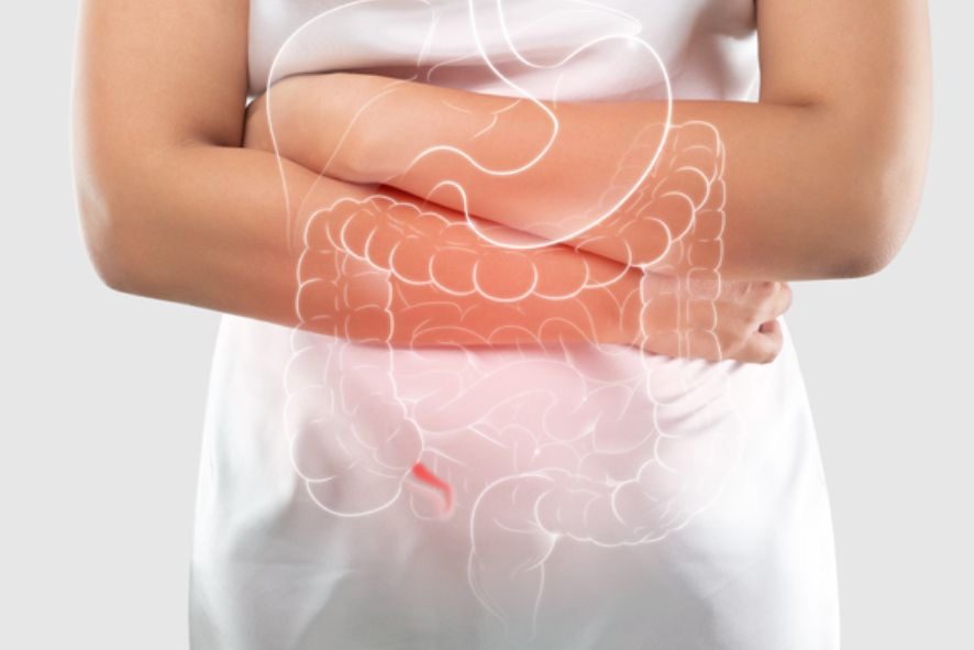 woman holding abdominal with digestive system illustration for digestive regularity and gut health